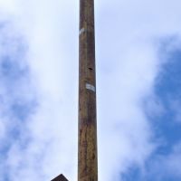 19. 3. 2019 – 1/800; f/11; ISO 800; ohnisko: 112 mm