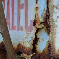 11. 11. 2016 – 1/60; f/5.2; ISO 400; ohnisko: 66 mm