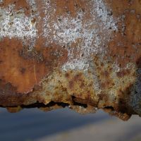 17. 9. 2016 – 1/160; f/7.1; ISO 100; ohnisko: 84 mm