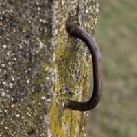 19. 3. 2019 – 1/100; f/9; ISO 400; ohnisko: 112 mm