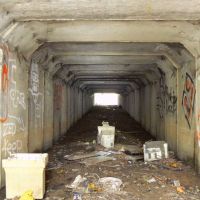 2. 11. 2007 – 25 s; f/2.8; ISO 200; ohnisko: 36 mm