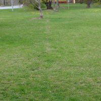 9. 4. 2017 – 1/100; f/6.3; ISO 100; ohnisko: 84 mm