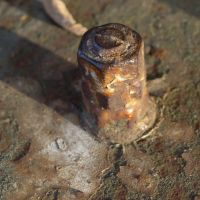 17. 9. 2016 – 1/80; f/5.6; ISO 100; ohnisko: 84 mm