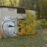 1. 11. 2009 – 1/80; f/4; ISO 80; ohnisko: 36 mm