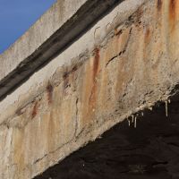 29. 3. 2019 – 1/250; f/5.6; ISO 100; ohnisko: 112 mm