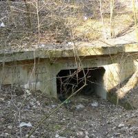 7. 3. 2008 – 1/25; f/2.8; ISO 80; ohnisko: 36 mm