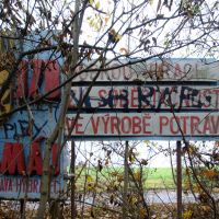 11. 11. 2016 – 1/80; f/4; ISO 100; ohnisko: 18 mm