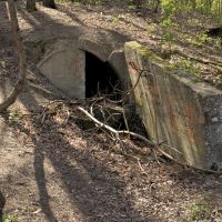 19. 4. 2019 – 1/80; f/5; ISO 100; ohnisko: 37 mm