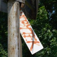 22. 7. 2017 – 1/125; f/7.1; ISO 100; ohnisko: 62 mm