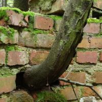 5. 10. 2014 – 2 s; f/11; ISO 100; ohnisko: 50 mm