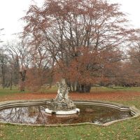 9. 11. 2008 – 1/60; f/4; ISO 100; ohnisko: 36 mm