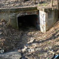 7. 3. 2008 – 1/60; f/4; ISO 80; ohnisko: 36 mm