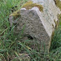 22. 3. 2019 – 1/80; f/4; ISO 100; ohnisko: 54 mm