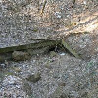 7. 3. 2008 – 1/20; f/2.8; ISO 80; ohnisko: 36 mm